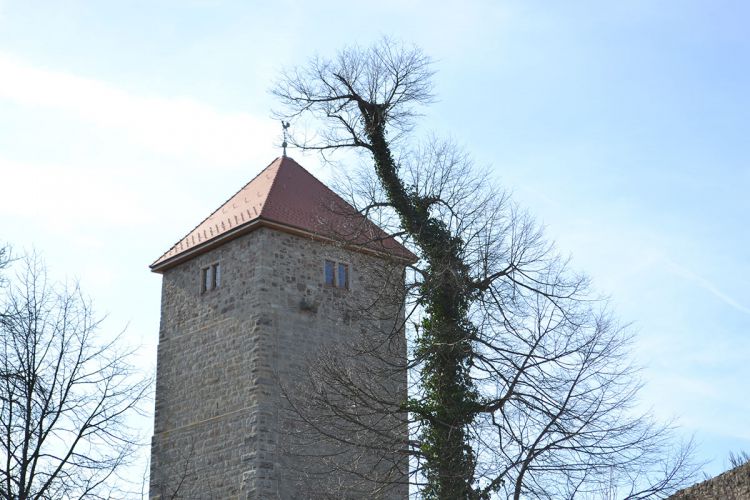 Bergfried-lichtenburg-ostheim-10